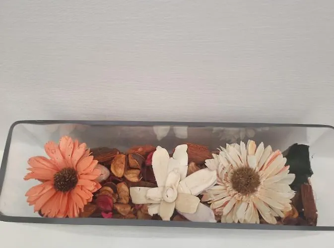 Vacanze Romane Oda ve Kahvaltı